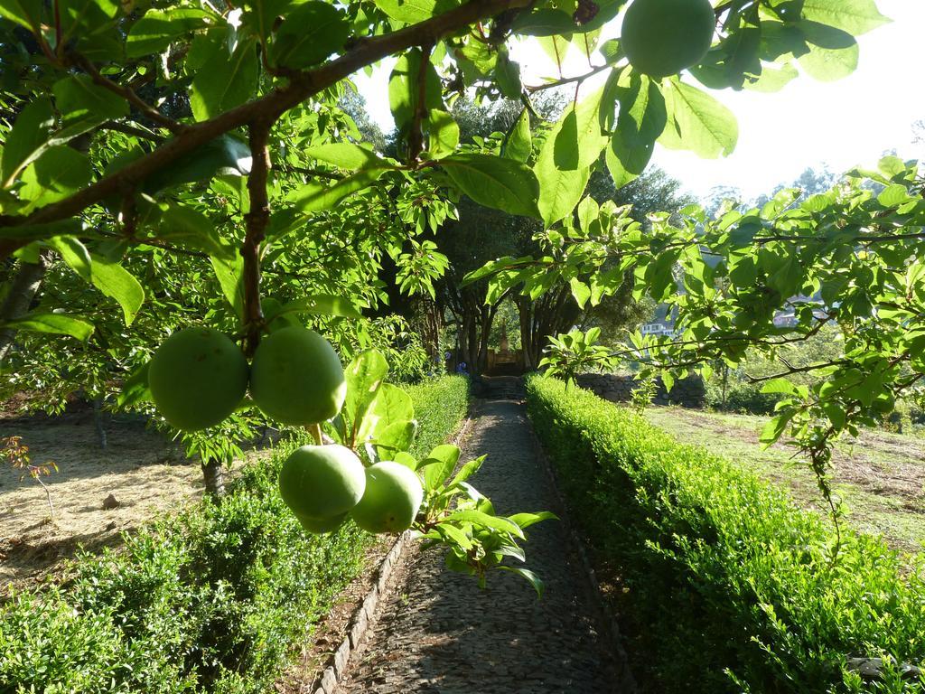 Bio Hotel - Hotel Quinta Da Serra Camara de Lobos Luaran gambar
