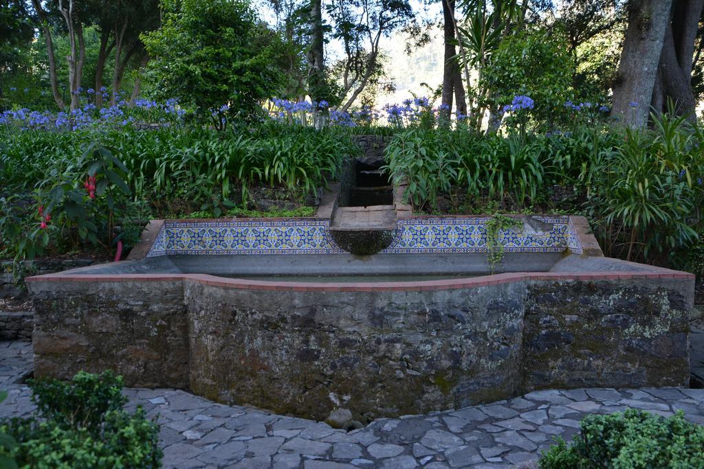 Bio Hotel - Hotel Quinta Da Serra Camara de Lobos Luaran gambar