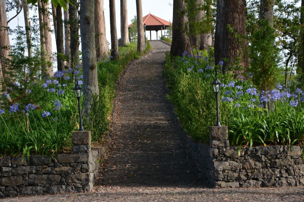Bio Hotel - Hotel Quinta Da Serra Camara de Lobos Luaran gambar