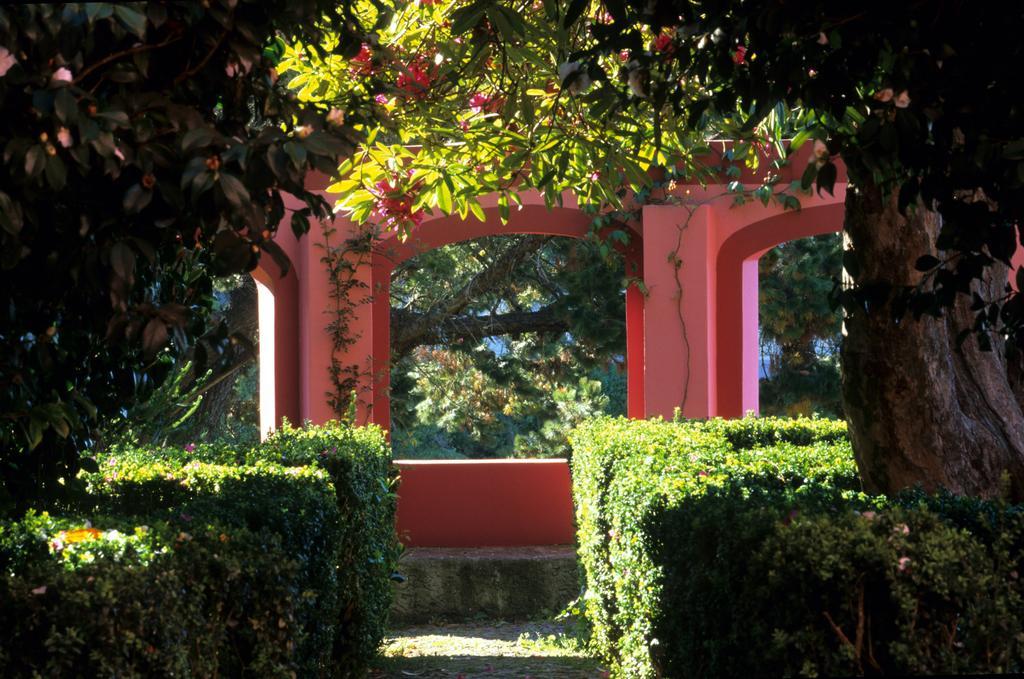 Bio Hotel - Hotel Quinta Da Serra Camara de Lobos Luaran gambar