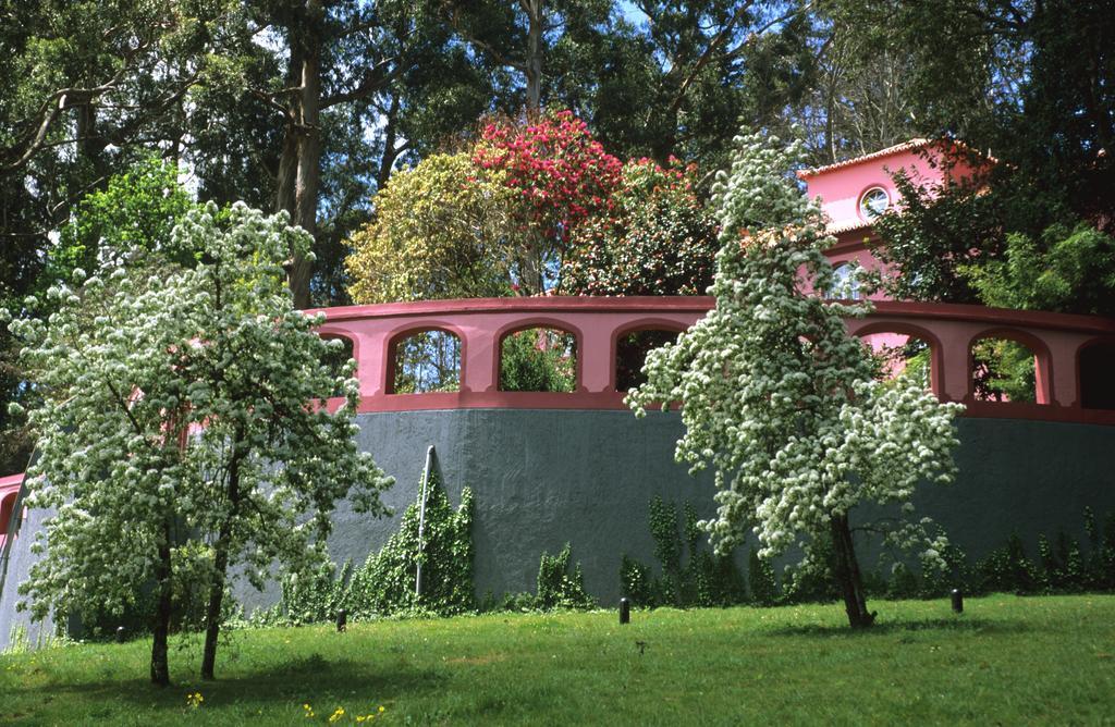 Bio Hotel - Hotel Quinta Da Serra Camara de Lobos Luaran gambar